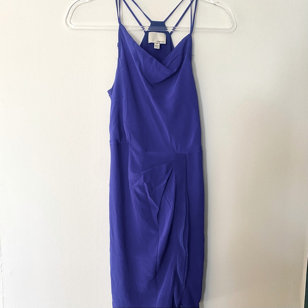 Greylin Silk Dress